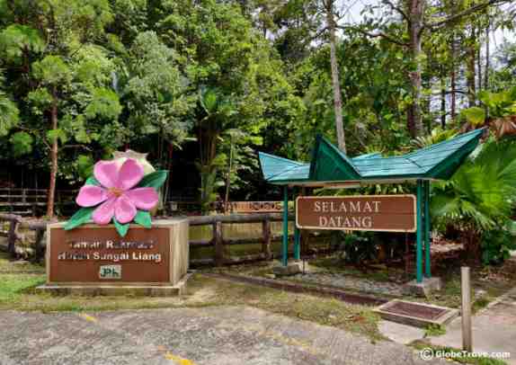 http://explorebrunei.gov.bn/TSP%20Images/Sungai-Liang-Forest-Recreation-Park.jpg
