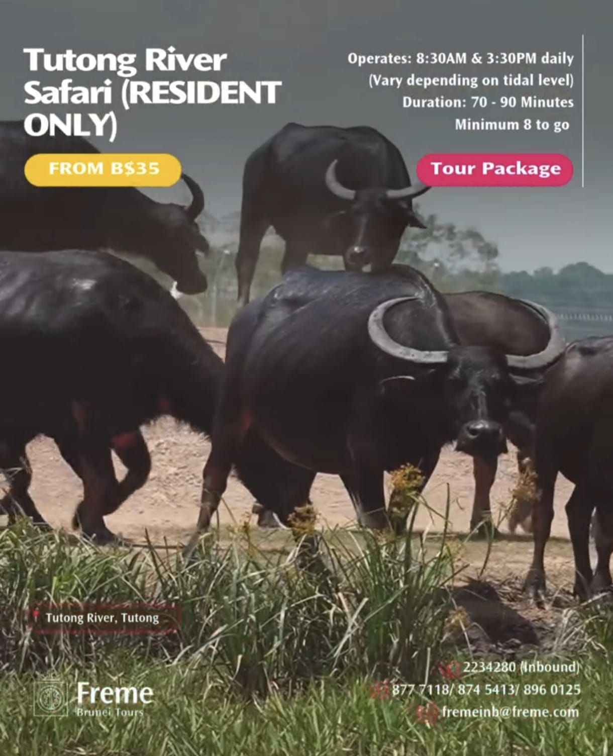 http://www.explorebrunei.gov.bn/TSP%20Images/Tutong%20River%20Safari%20(RESIDENT%20ONLY).jpeg